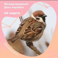 20 марта необычный праздник – «День воробья». 20 марта необычный праздник – «День воробья».